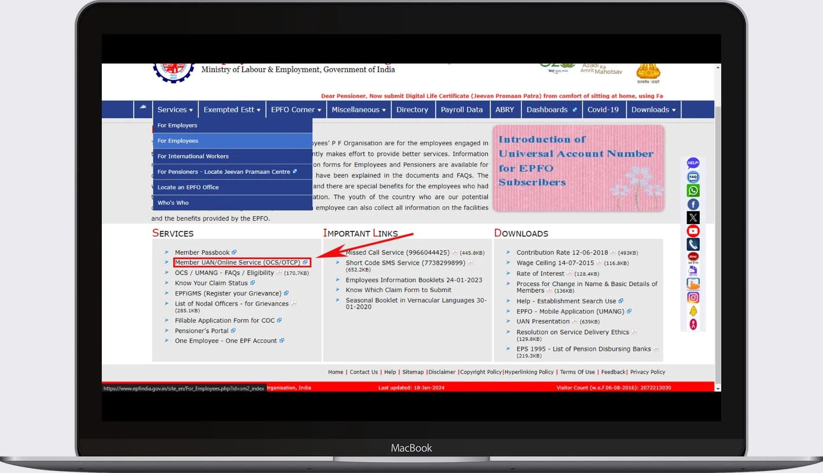 How To Withdraw Your Provident Fund: Step-By-Step Process